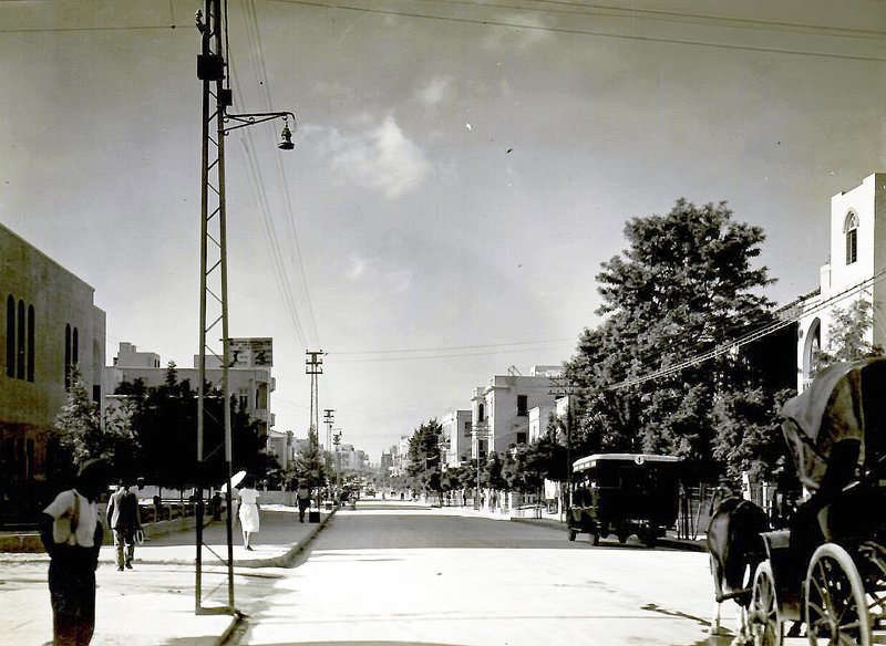 A tree-lined Tel Aviv boulevard in the 1920s, with new buildings, an early motor-bus and a horse-cart